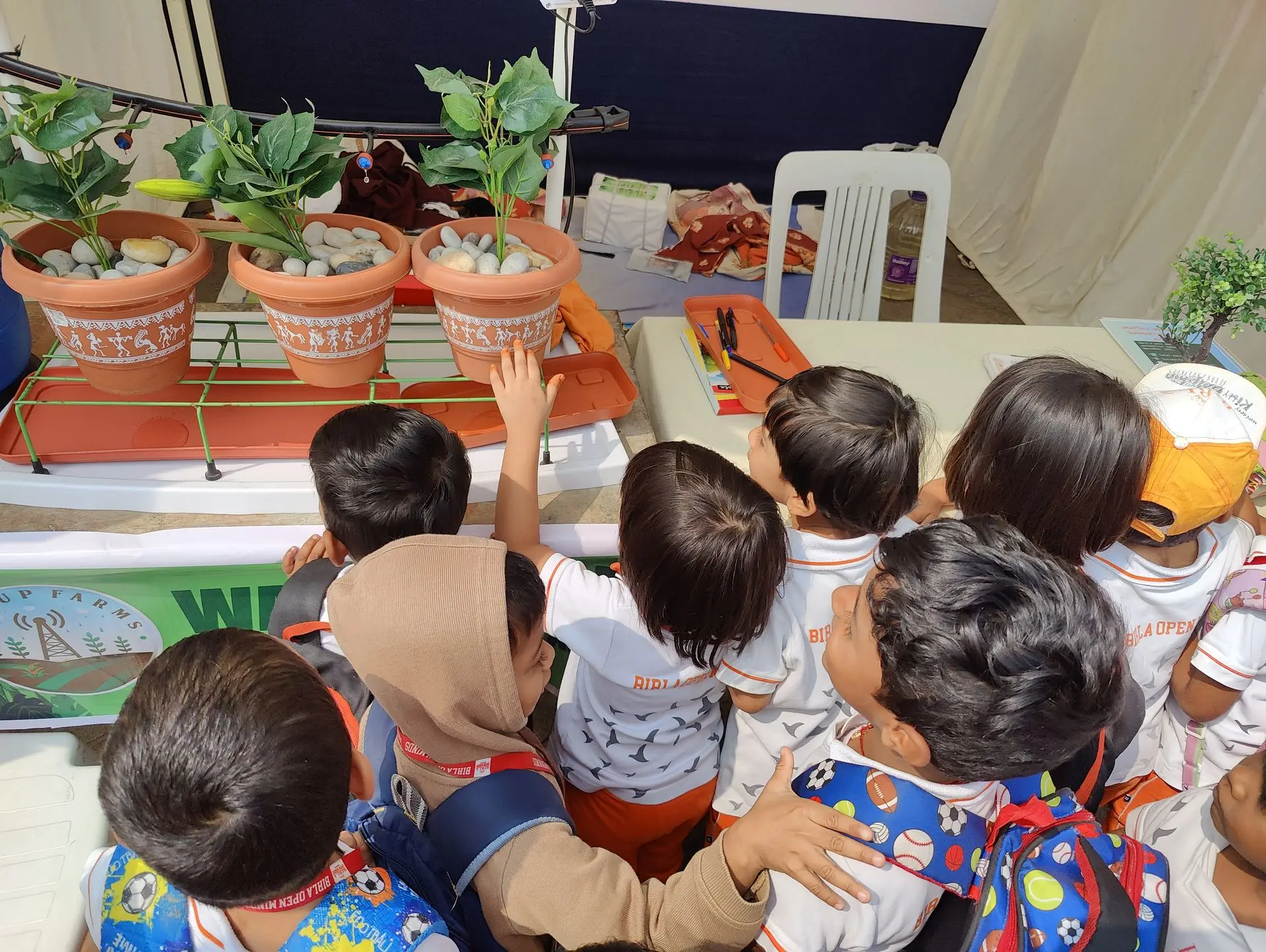 A WakeupFarms demonstration of irrigation automation with potted plants